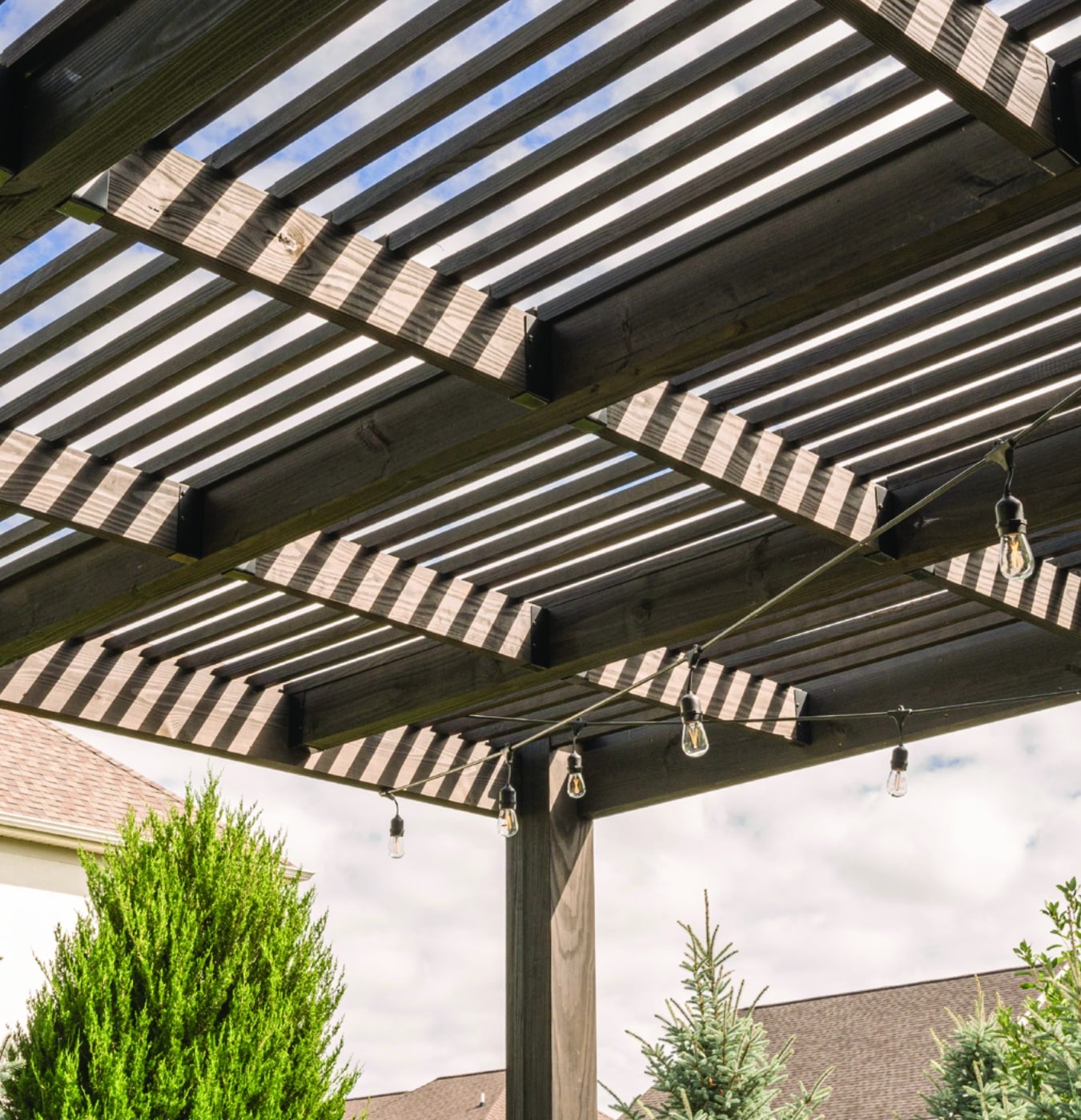 Vineyard Wood Pergola Bosman